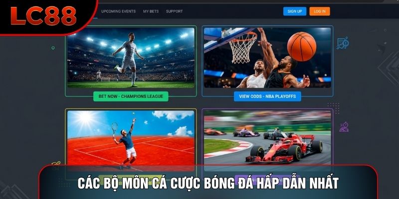 Các bộ môn cá cược bóng đá hấp dẫn nhất