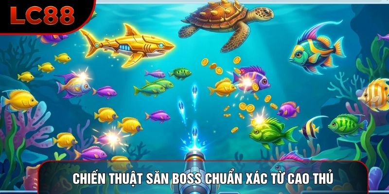 Chiến thuật săn Boss chuẩn xác từ cao thủ Chiến thuật săn Boss chuẩn xác từ cao thủ